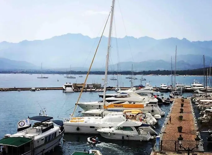 Lejlighed Avec Piscine Calvi (Corsica)